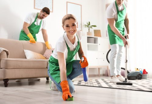 Where can I find a reliable house cleaning service in Perry Hall